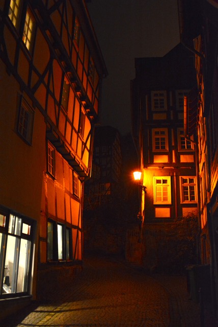 DSC_8419.jpg