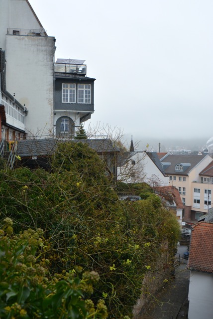 DSC_8466.jpg