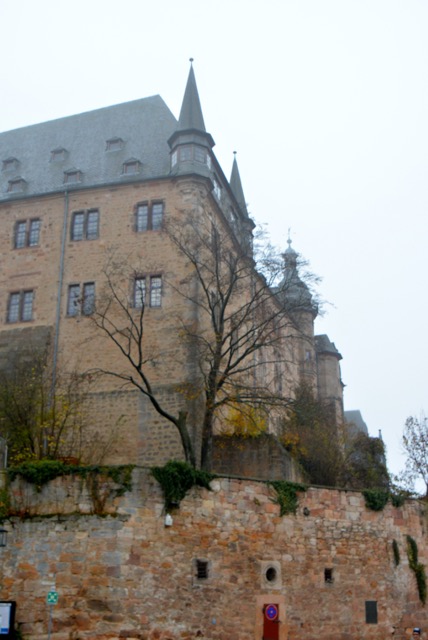 DSC_8496.jpg
