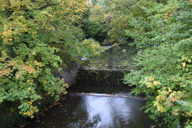 DSC_8385.JPG