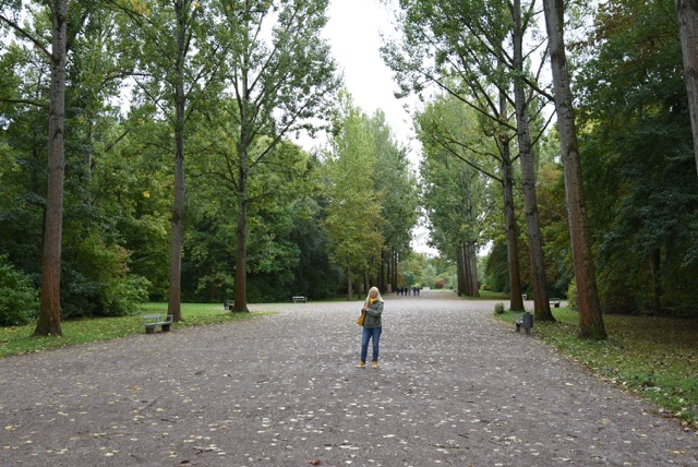 DSC_8404.JPG
