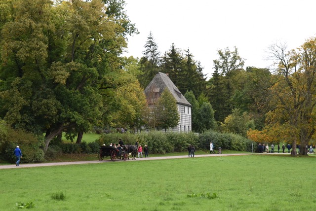 DSC_8409.JPG