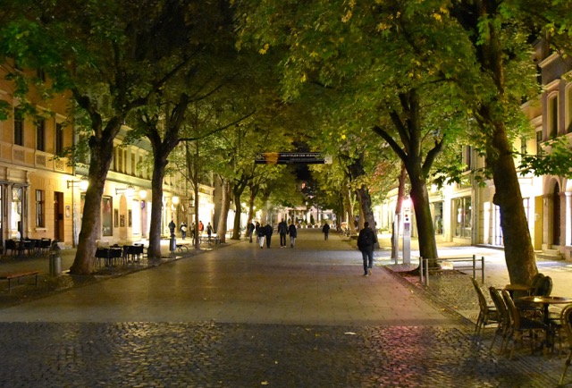DSC_8599_ShiftN.jpg