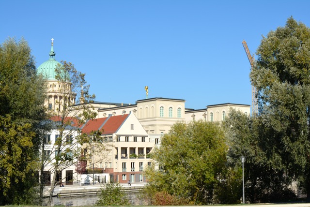DSC_6585.JPG