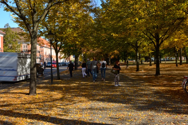 DSC_6626.JPG