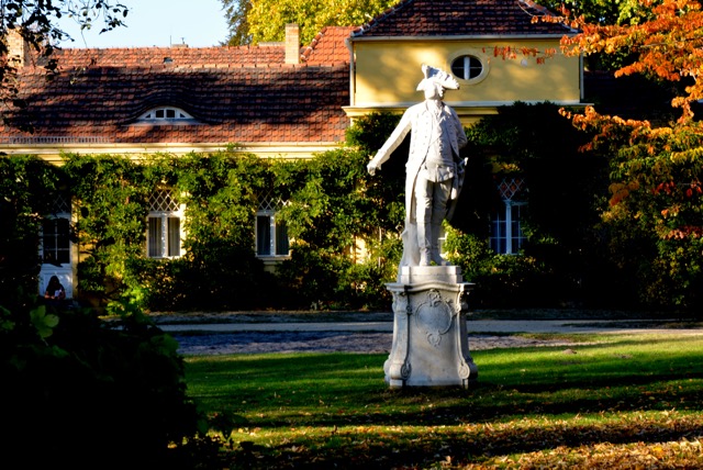 DSC_6660.JPG