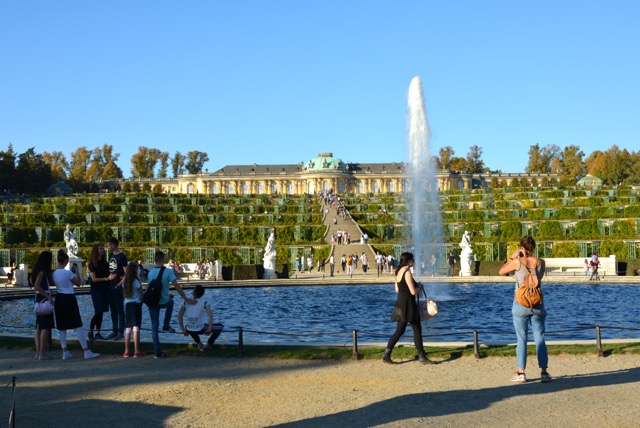 DSC_6662.JPG
